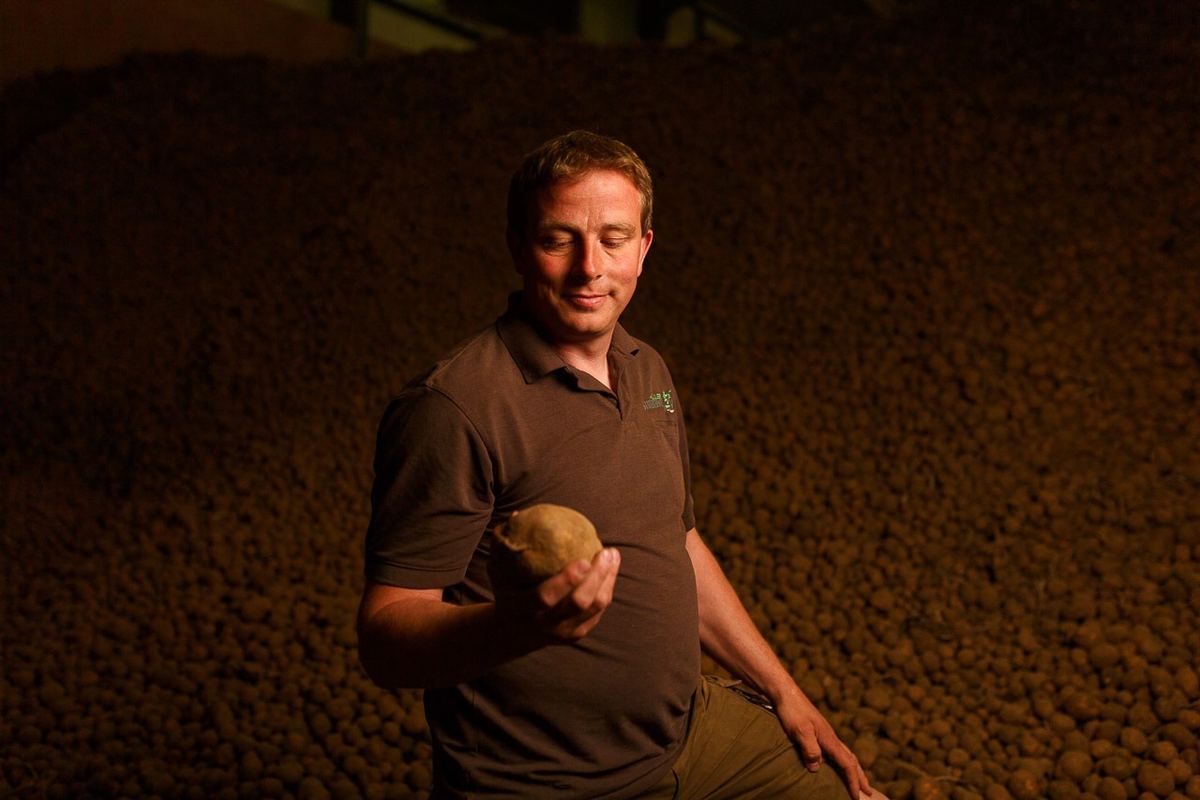 Producteur de pommes de terre dans son hangar de stockage
